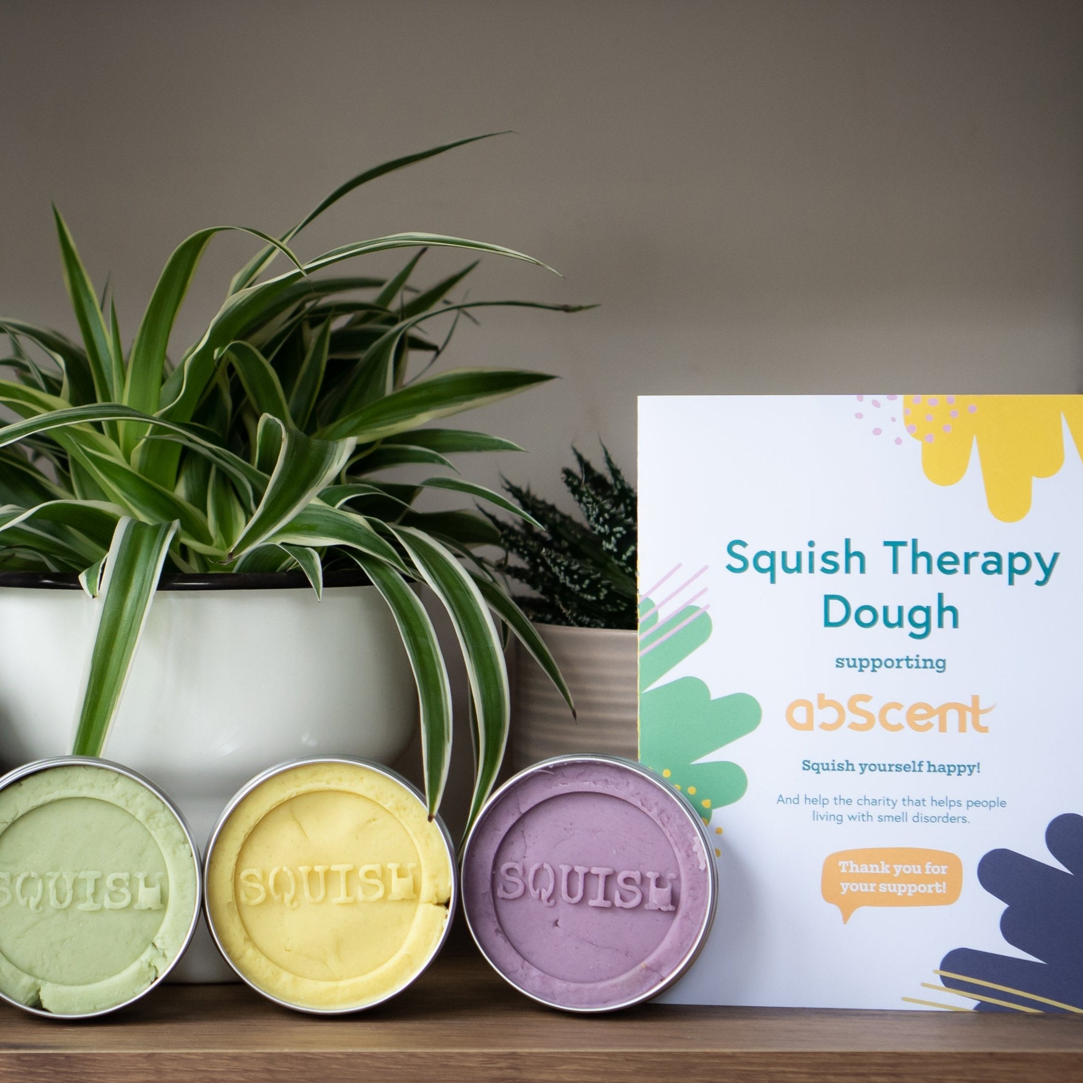 Squish Smell Training Kit (as seen on abScent)